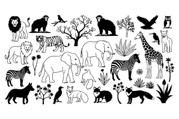 Download Collection of African Wildlife&nbsp; - Wildlife Collection