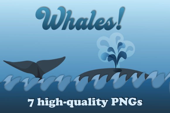 Download Whale PNGs - Whale pngs Collection